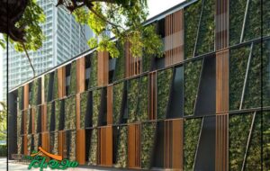 دیوار سبز: راهی برای زیباسازی و بهبود محیط زیست