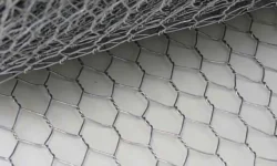 بررسی جامع تور مرغی