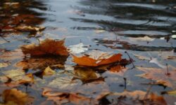 کاهش بیش از ۹۰ میلی‌متری بارش در کشور