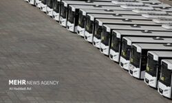 باقرجوان: ۷۹ میلیون مسافر در نیمه نخست امسال جابه‌جا شدند