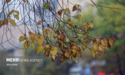 هواشناسی ایران امروز ۱۱ مهر؛ صدور هشدار سرمازدگی