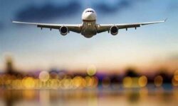 ۵۰ درصد از گردشگری کشور در اختیار افراد غیر مجاز