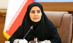 صندوق مالی حملونقل اسلامی راه اندازی میشود